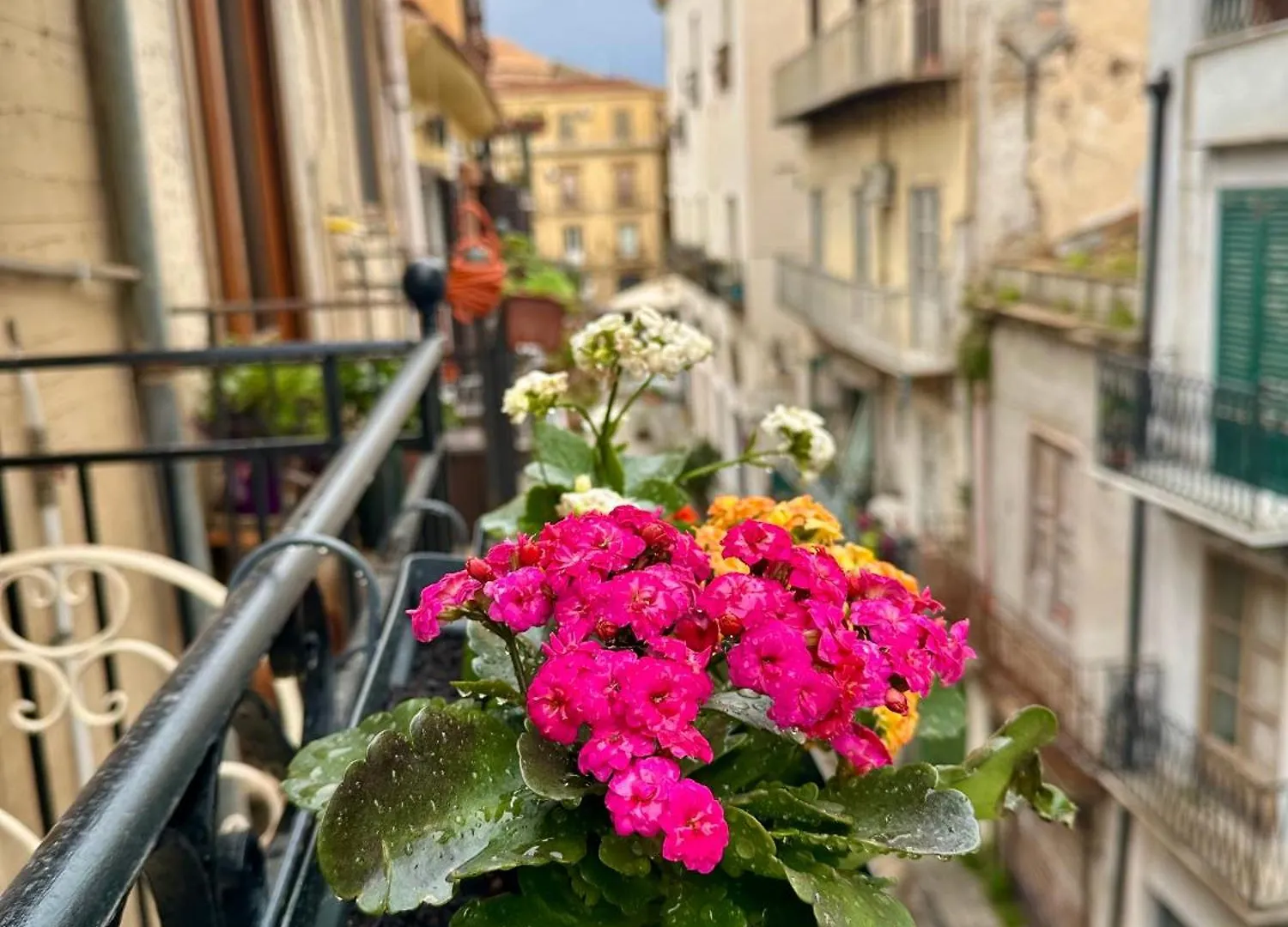 Kalsa Terrace Boutique Apartment Palermo Itálie