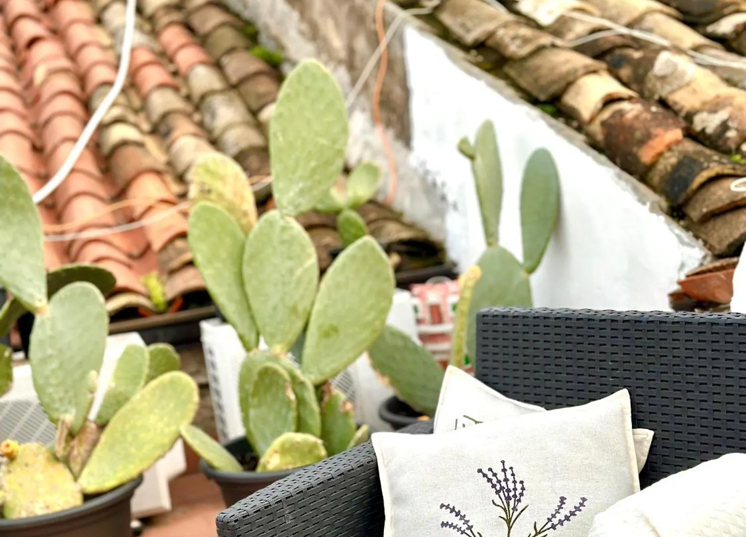 Kalsa Terrace Boutique Apartment Palermo